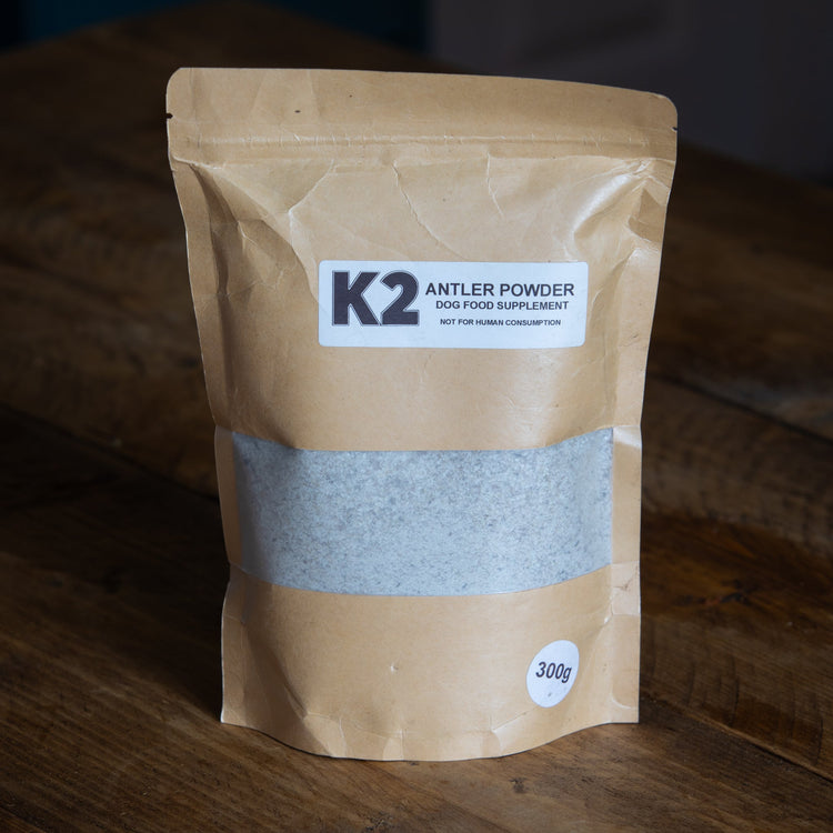 Dog Supplements – Support That Actually Does Something