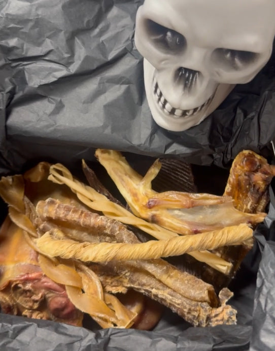 Dog Envy’s Witches’ Brew Treat Box