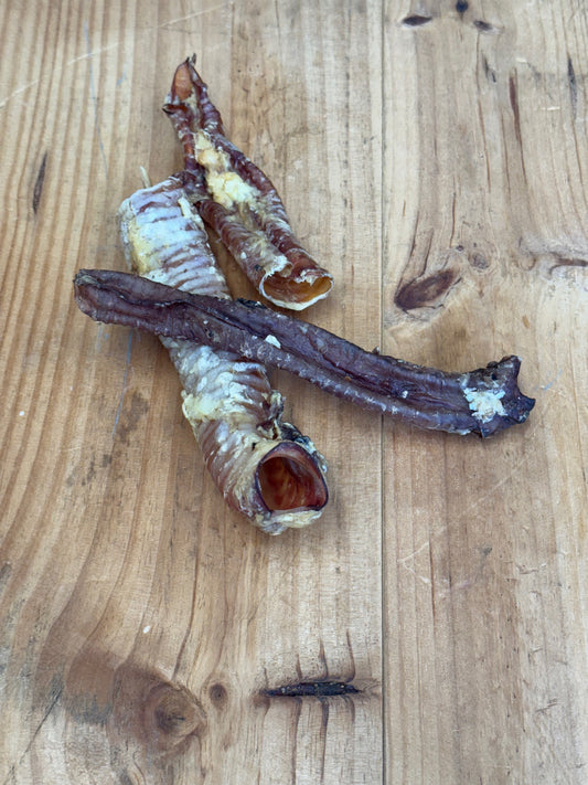 Lamb Trachea 50g