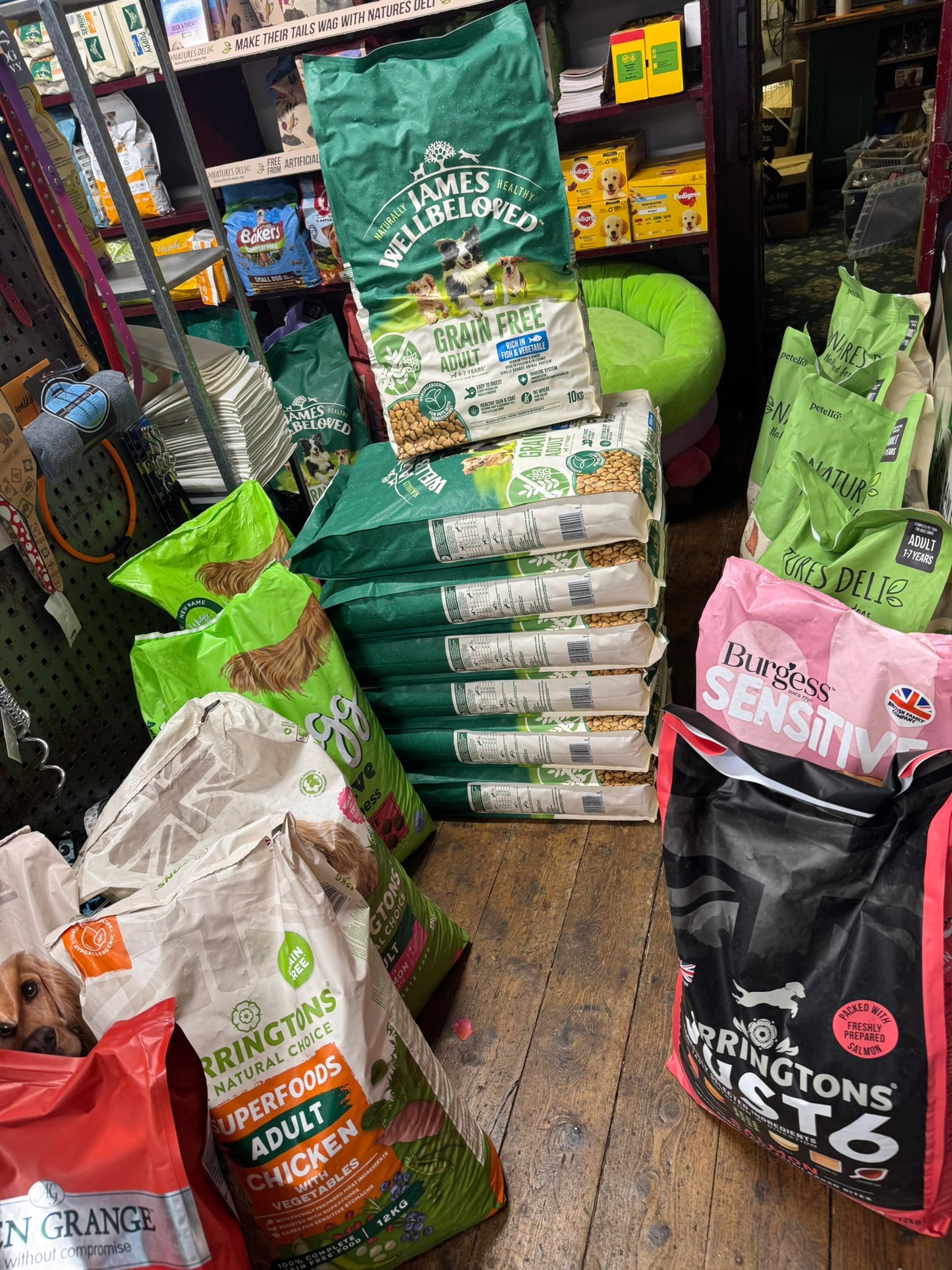 Kong Playspace Rave Cave Cat