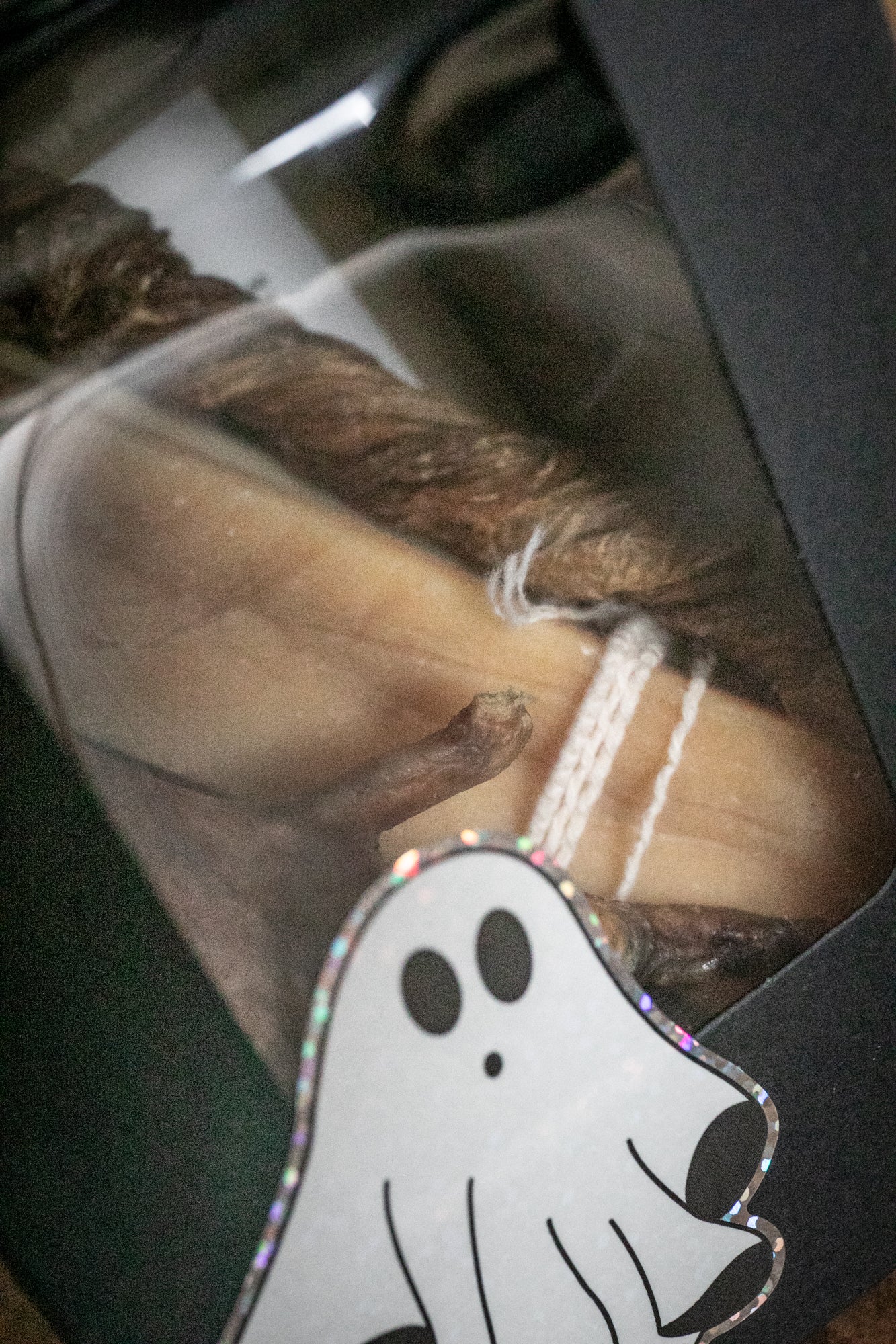 The Little Black Box of Chews – 5 Natural Treats - Halloween Special