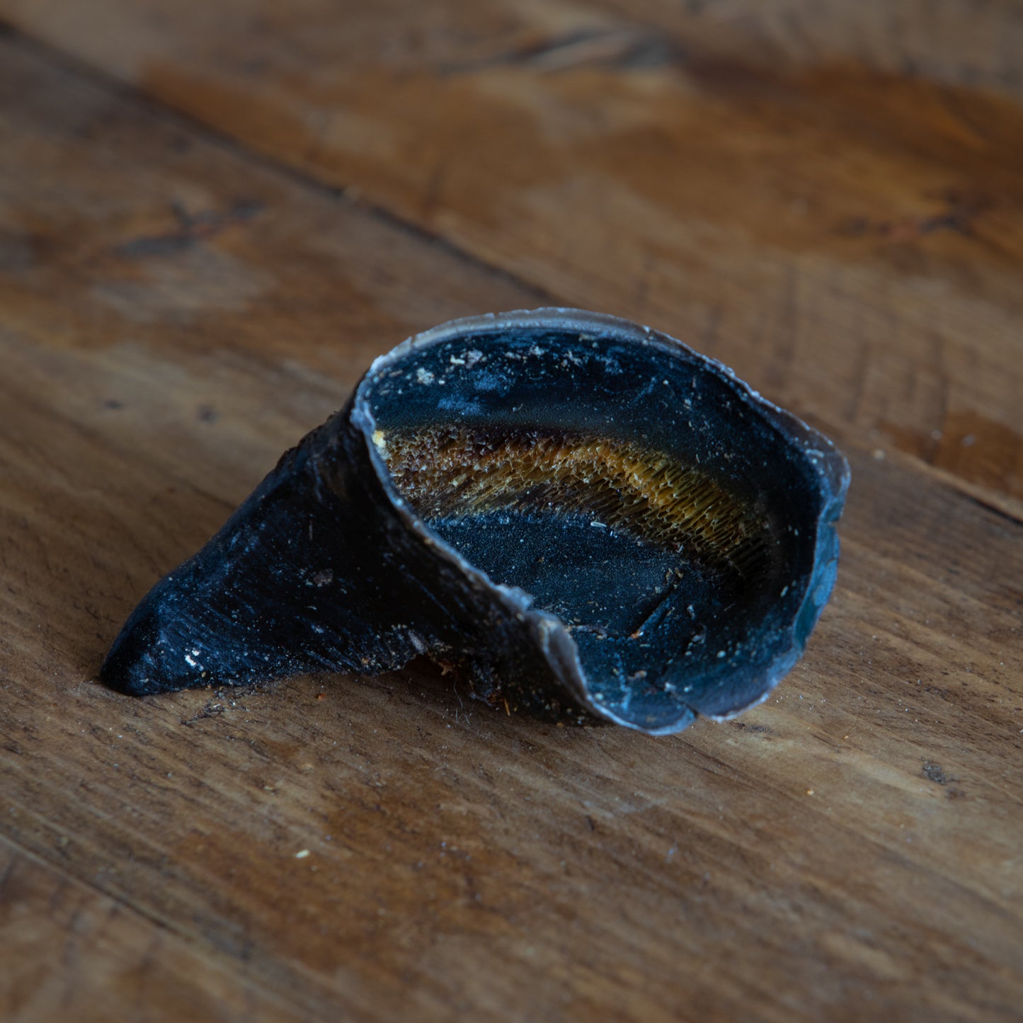 Beef Hooves – Natural, Long-Lasting Chew for Strong Jaws