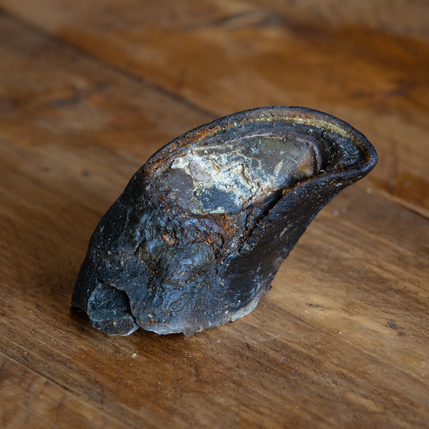 Beef Hooves – Natural, Long-Lasting Chew for Strong Jaws
