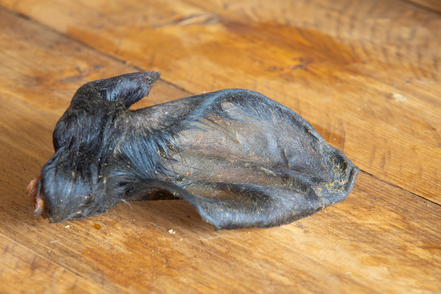 Pig Ear Natural Dog Chews
