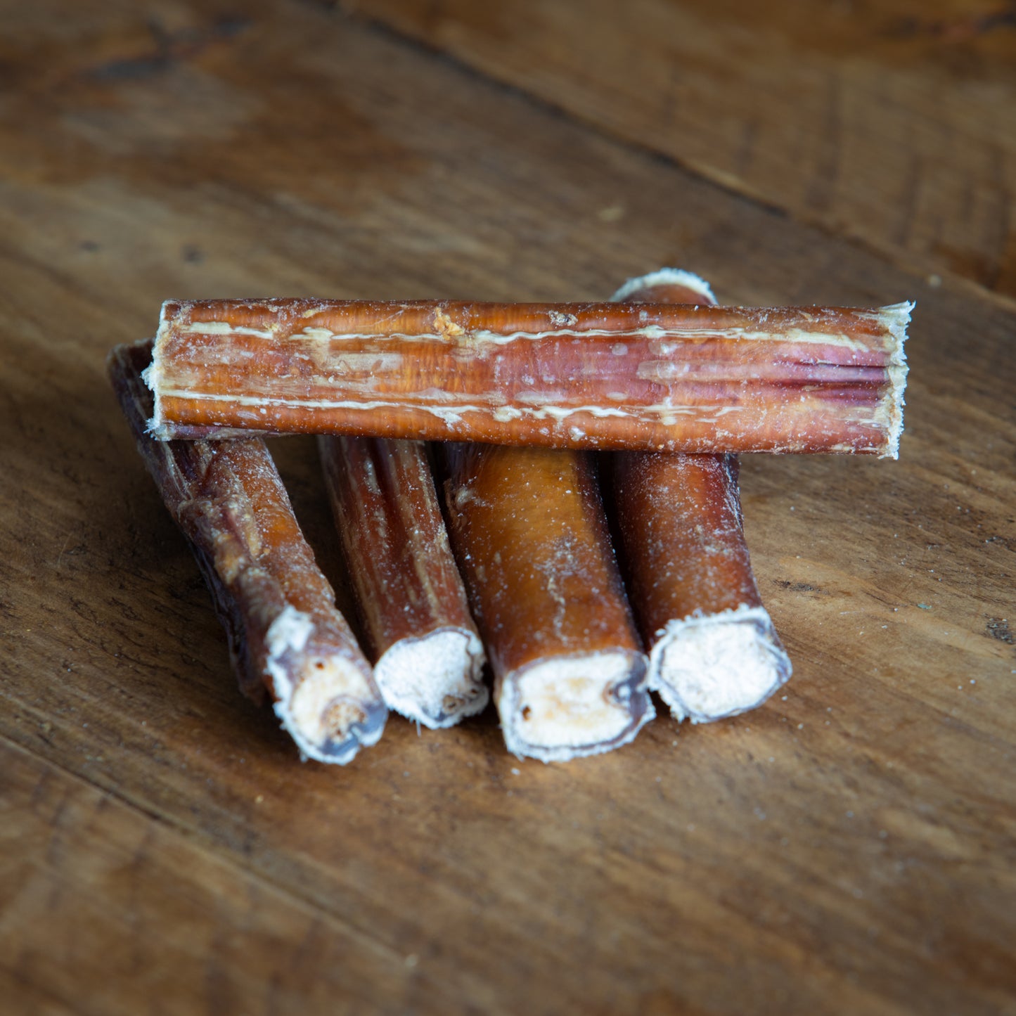 Bull Pizzle – Thick, Long-Lasting Natural Chew