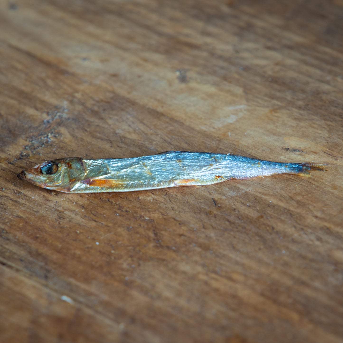 JR Sprats – 100% Natural Fish Treats for Dogs