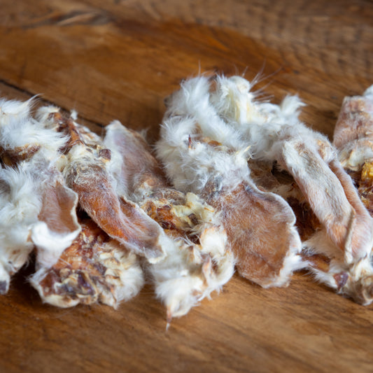 Rabbit Ears with Hair