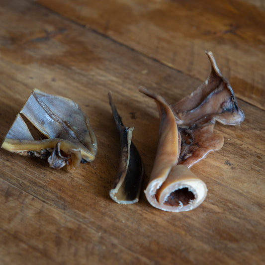 Camel Skin – 100g of Hypoallergenic Chews for Dogs