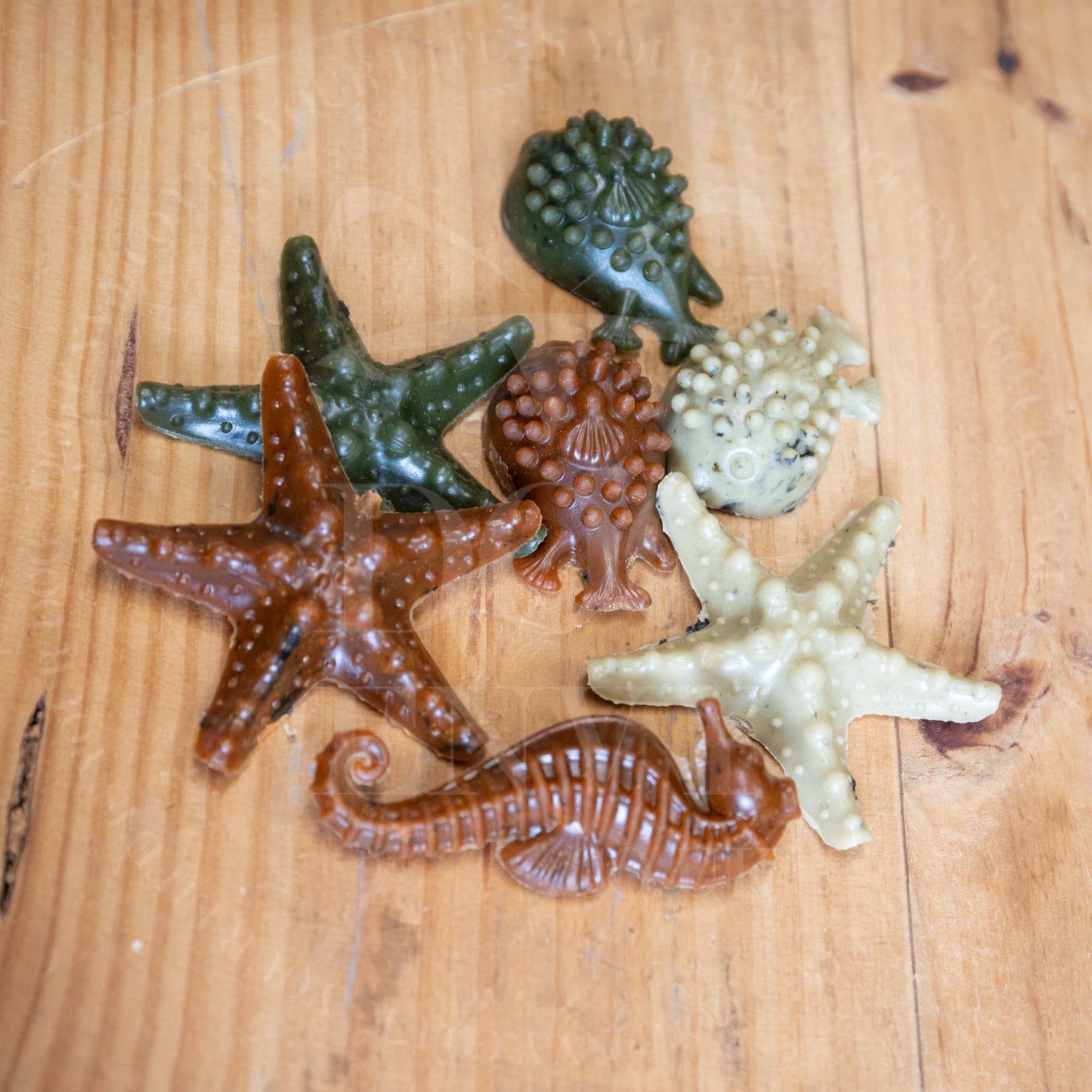 Veggie Sea Creatures