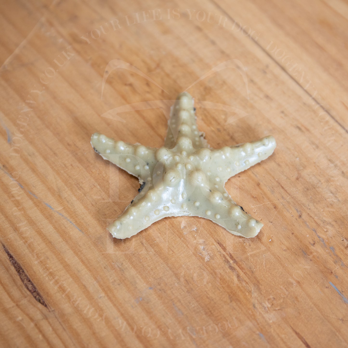 Veggie Sea Creatures