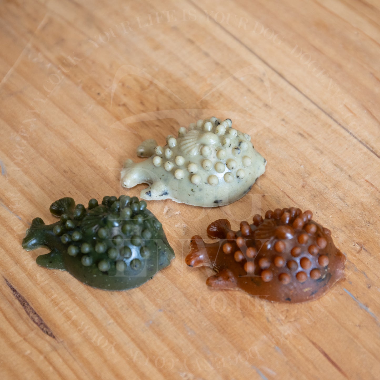 Veggie Sea Creatures