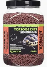 Tortoise food dandelion