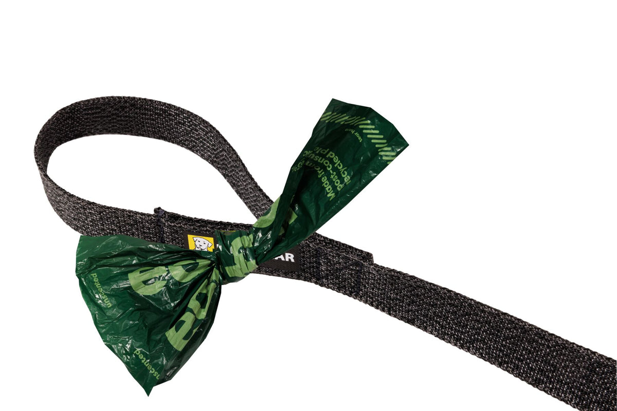 Ruffwear Front Range Flex Dog Lead