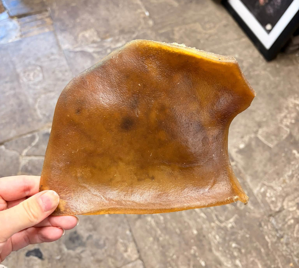 Camel Skin Plate - JR