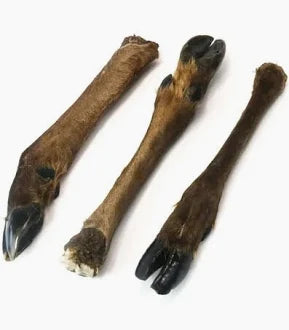 Large Venison Leg