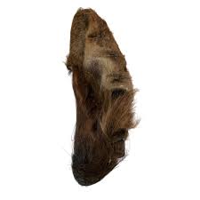 Small Hairy Cow Ears - JR
