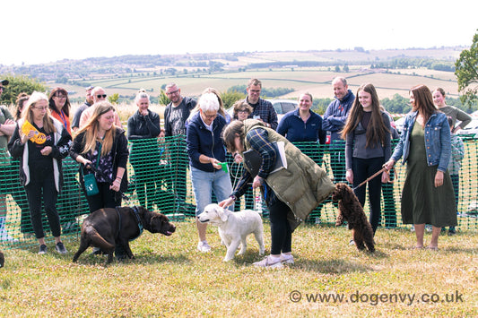 Hundreds Turn Out for the Dog Envy Charity Dog Show
