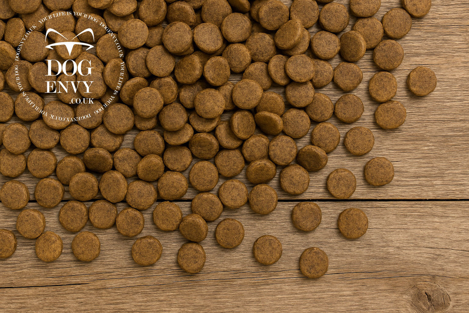 Dry Dog Food – Proper Nutrition, all dogs included