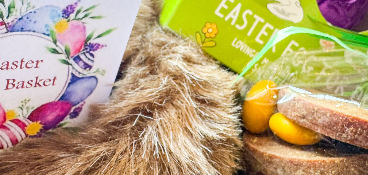 Dog Envy Easter Collection