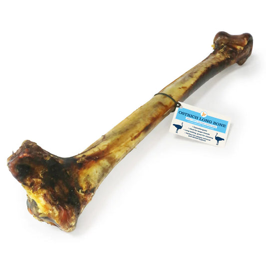 Ostrich Long Bone 50cm