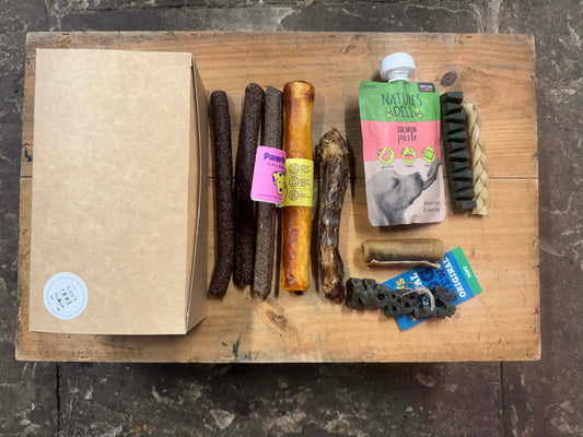 Dog Envy Winter Warmer Treat Box