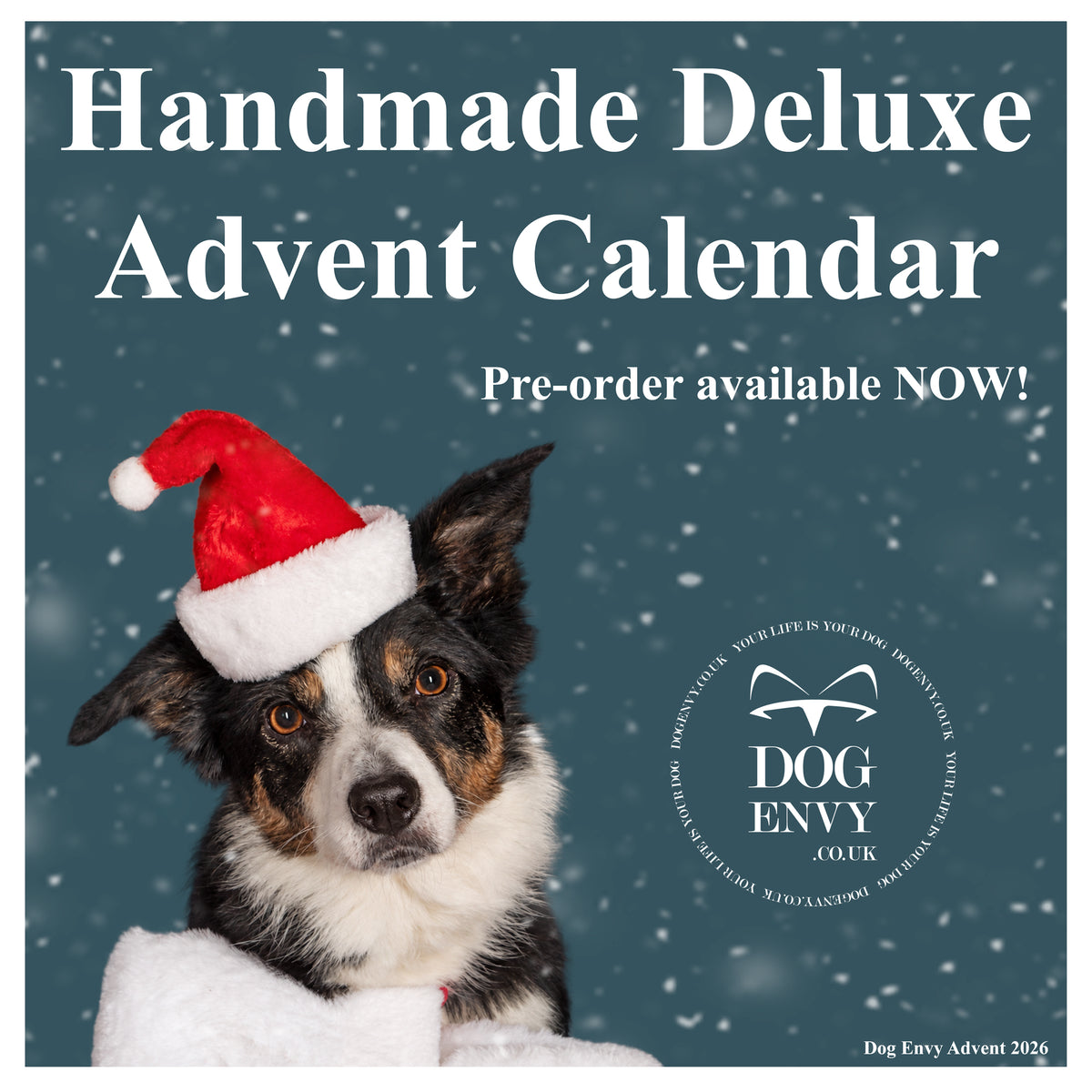 Dog Envy Handmade Deluxe Natural Treat Advent Calendar 2026