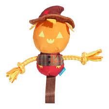 BARK Halloween Jack-Crow-Lantern