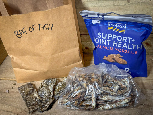 Dog Envy “Bag of Fish” – Natural Fish Treat Bundle for Dogs
