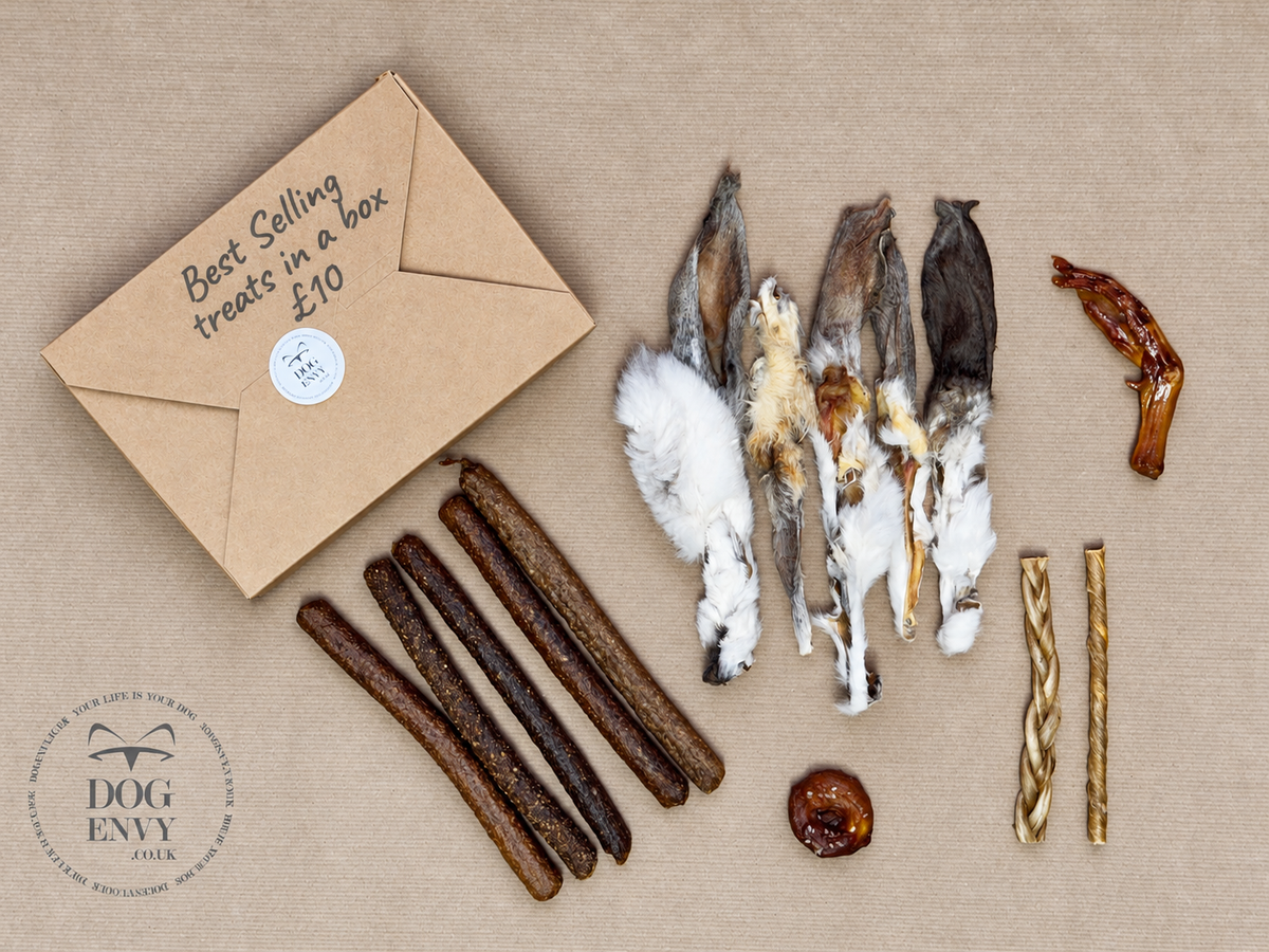 Dog Envy Best Seller Box – Natural Dog Treat Bundle (£10)