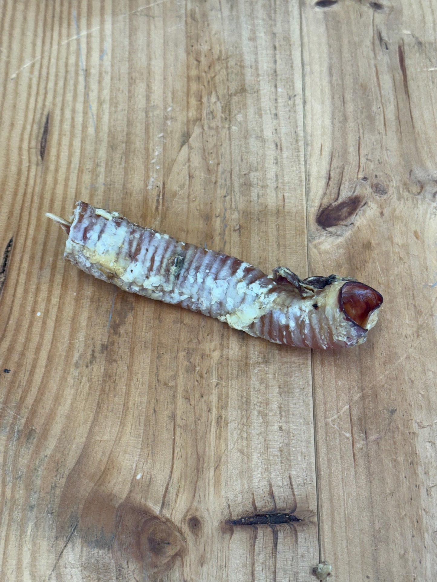 Lamb Trachea 50g