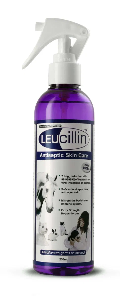 Leucillin Antiseptic spray 250ml