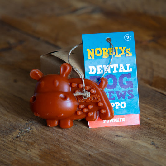 Nobblys Hippo – Pumpkin-Flavoured Chew (40g)