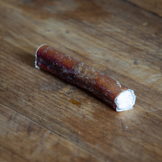 Bull Pizzle – Thick, Long-Lasting Natural Chew