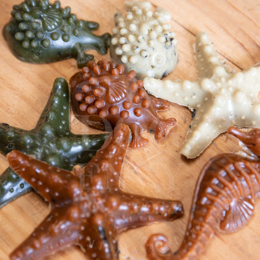 Veggie Sea Creatures