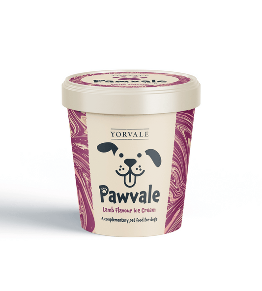 Pawvale Lamb flavoured dog-friendly ice cream 120ml