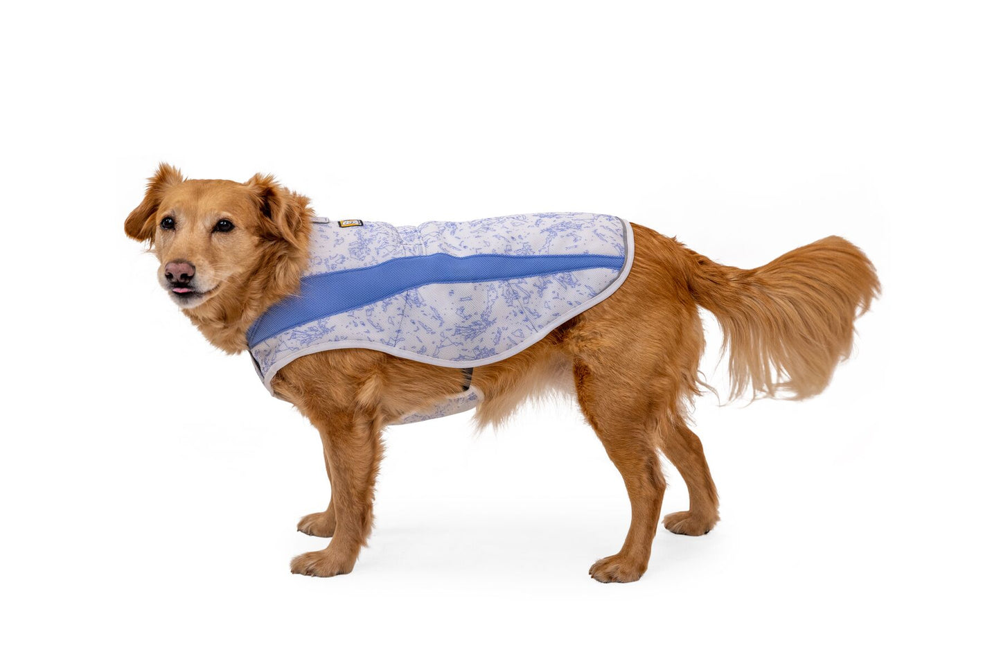 Ruffwear Swamp Cooler Biolumin Blue Size: Small