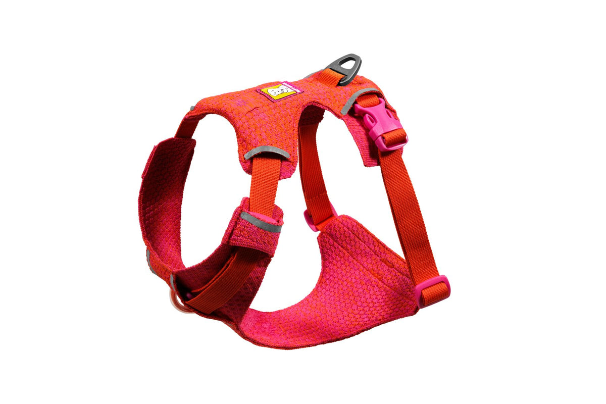 Ruffwear Front Range Flex Dog Harness