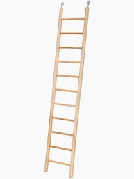 bird ladder