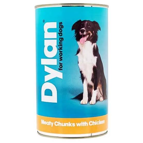 dylan single tin