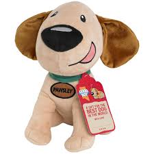 Good Boy Gift Pawsley
