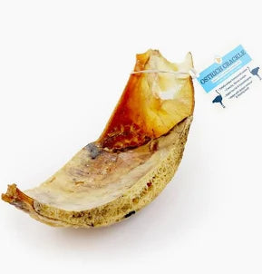 Ostrich Crackle Chest Bone - JR